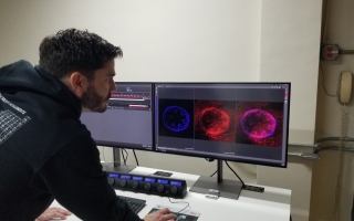 Man standing in front of two monitors.