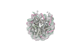 nucleosome
