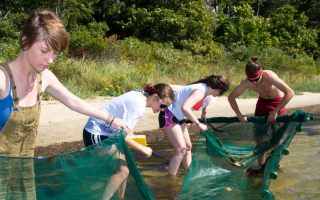 This photo shows four students holding up a green net outside while standing in water.