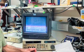 A scientist in front of a microscope