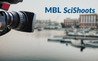 Camera in foreground, MBL in background
