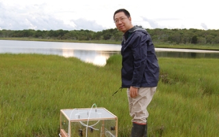 Jianwu Tang measures greenhouse gas emissions from a salt marsh on Cape Cod, Massachusetts in 2013. Credit: Jianwu Tang