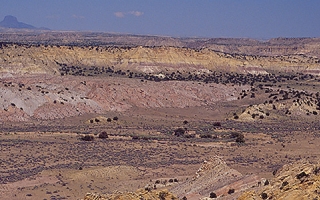 southwestern US desert