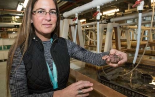 Loretta Roberson at a tank.