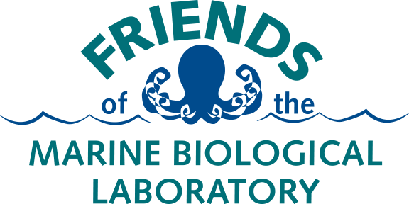 friends of the mbl logo
