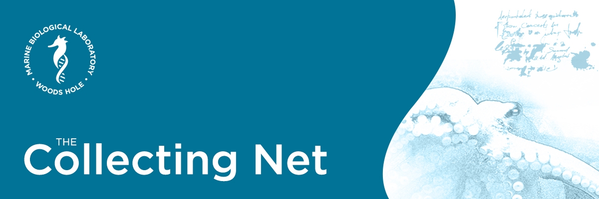 collecting net logo