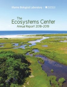 18-19 ecosystems annual report cover