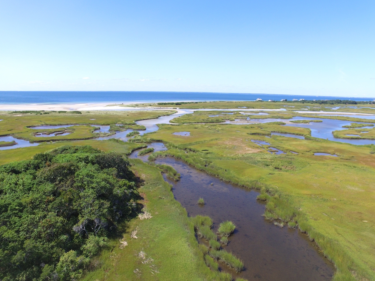 Aerial image of the Great Sippewissett Marsh in Cape Cod, MA. In this site, Lloret studies the long-term effects of experimental nutrient additions and quantifies the impacts of accelerated sea level rise.