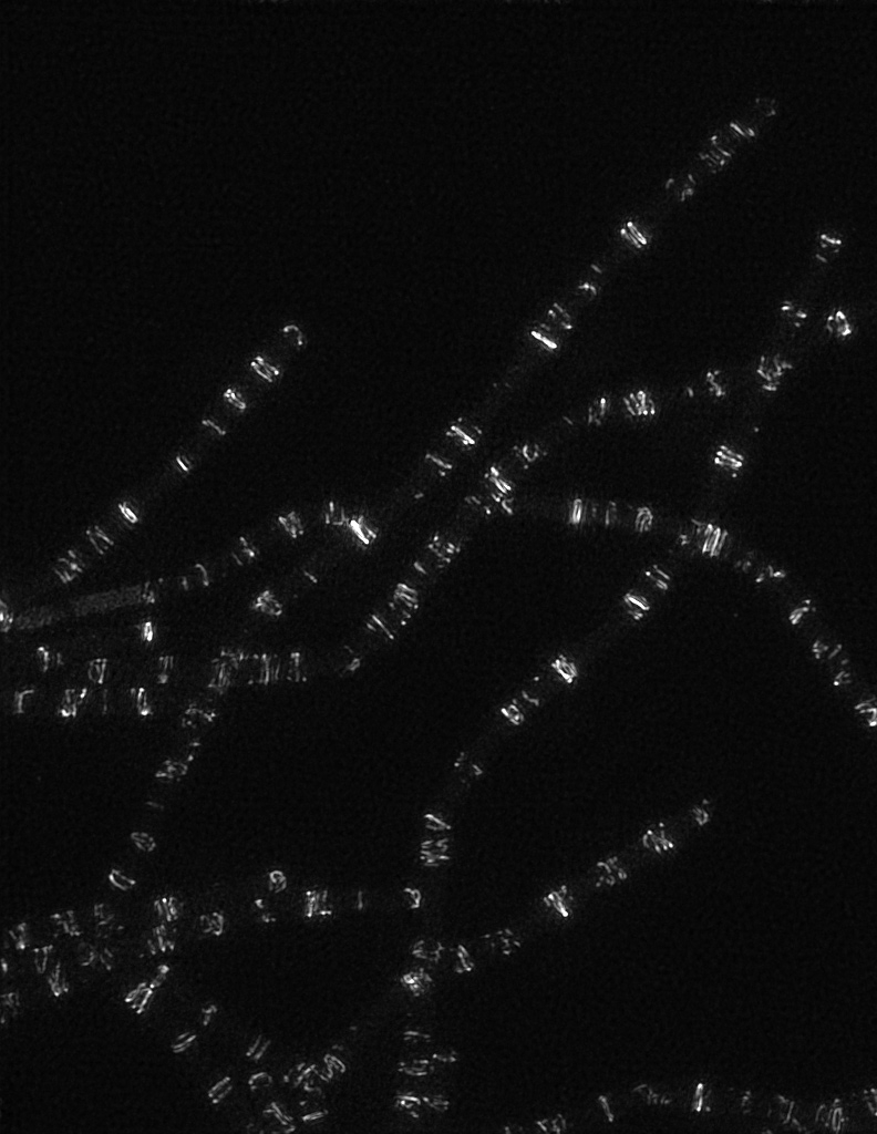 A 3D structured illumination microscopy image of Z rings in the absence of FtsZ binding proteins. Taken during the 2017 Physiology Course on the DeltaVision OMX SR. Credit: Victoria Yan & Georgia Squyres / MBL Physiology