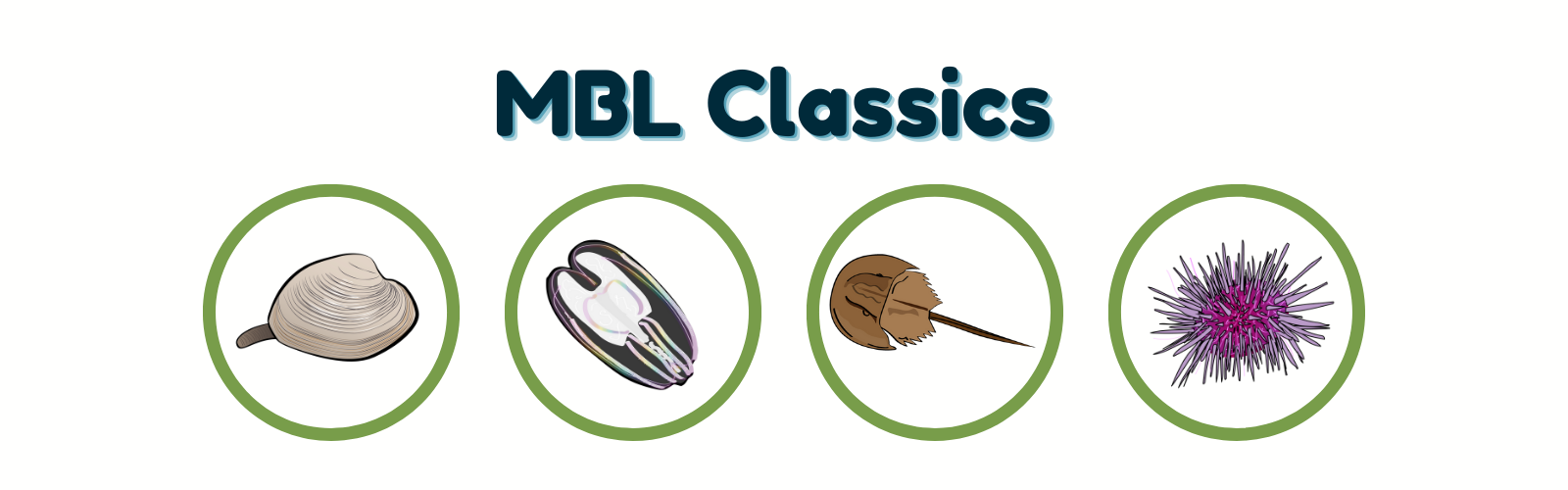 MBL March Madness | Marine Biological Laboratory