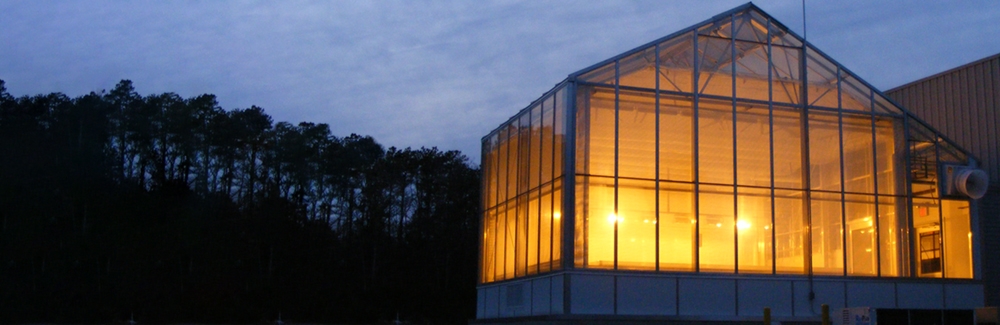 MBL Greenhouse
