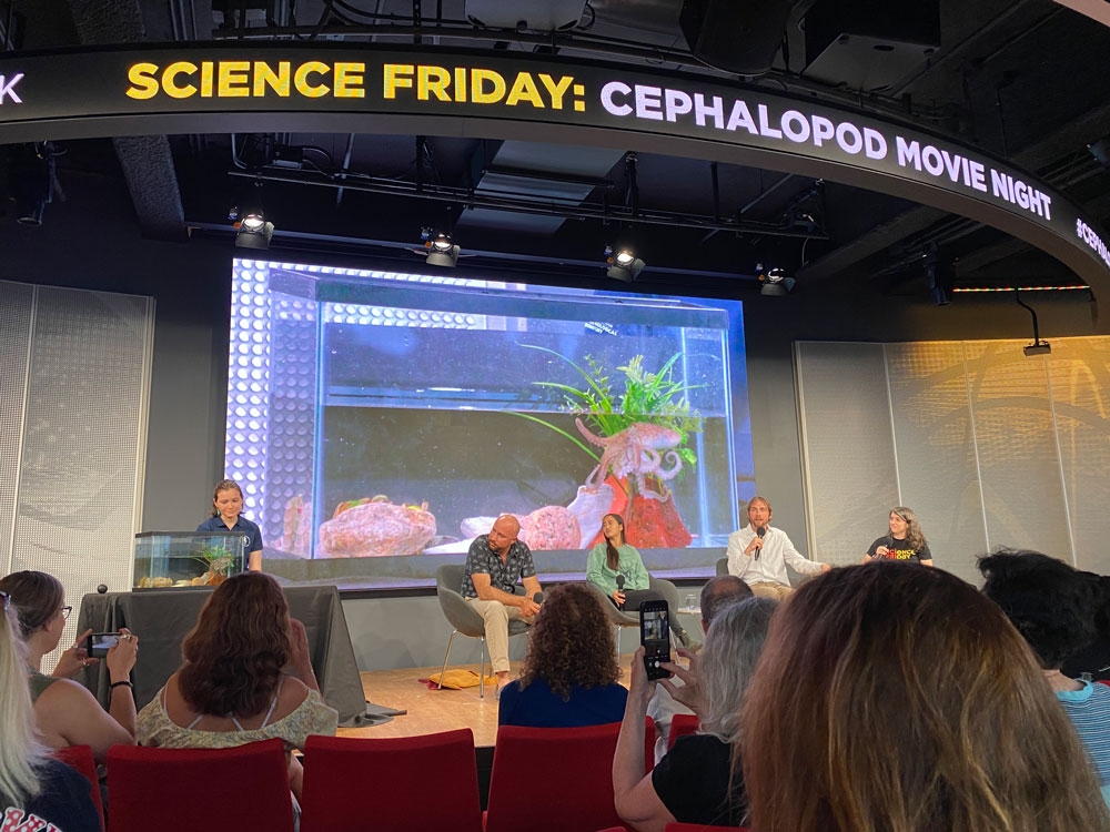 Panel onstage at Cephalopod Movie Night in Boston, June 2022. Credit: SciFri