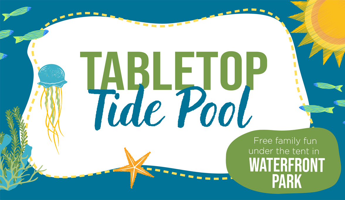 tabletop tide pool graphic