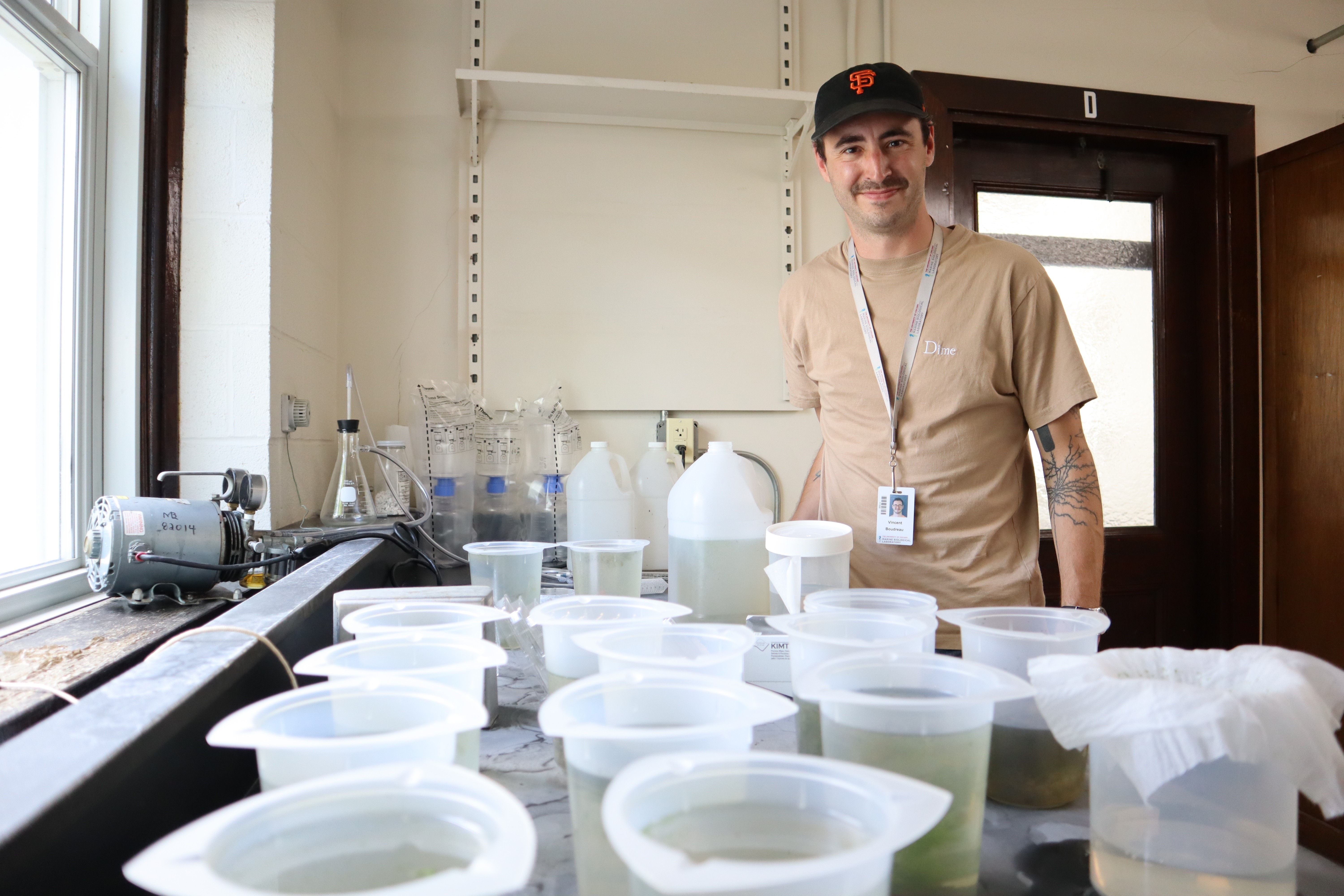 Whitman Fellow Vincent Boudreau stands in his lab with thousands of Stentors from Morse Pond. Credit: Nora Bradford