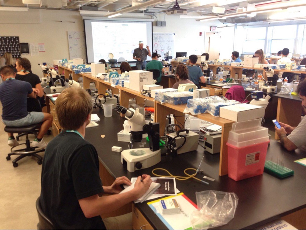 David McClay of Duke University leads MBL Embryology course students in a gene regulatory network analysis using the sea urchin. Photo by Richard Behringer (co-director, Embryology course).