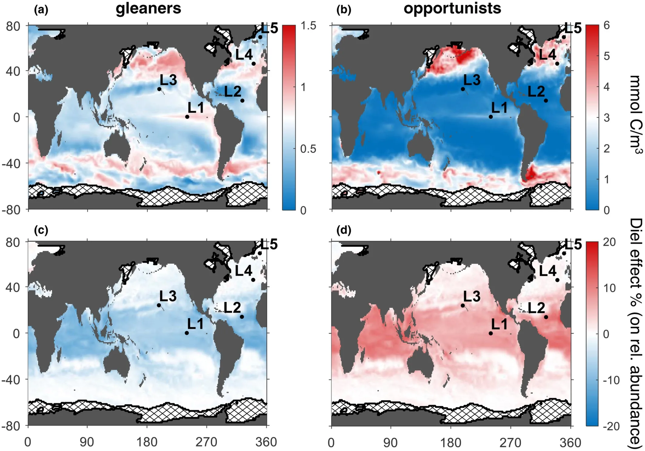 A figure from the described paper showing four different maps. It shows the difference between gleaners and opporunists simulated phytoplankton types in relation to diel cycles and nutrient availability