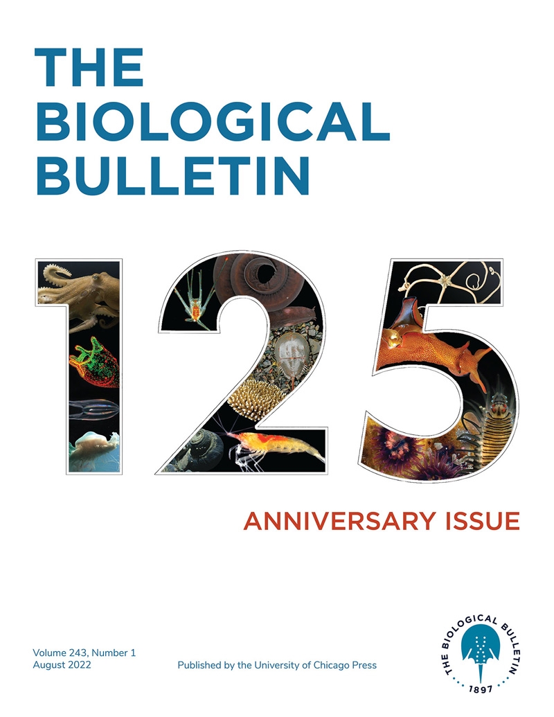 biological bulletin cover 125th anniversary issue