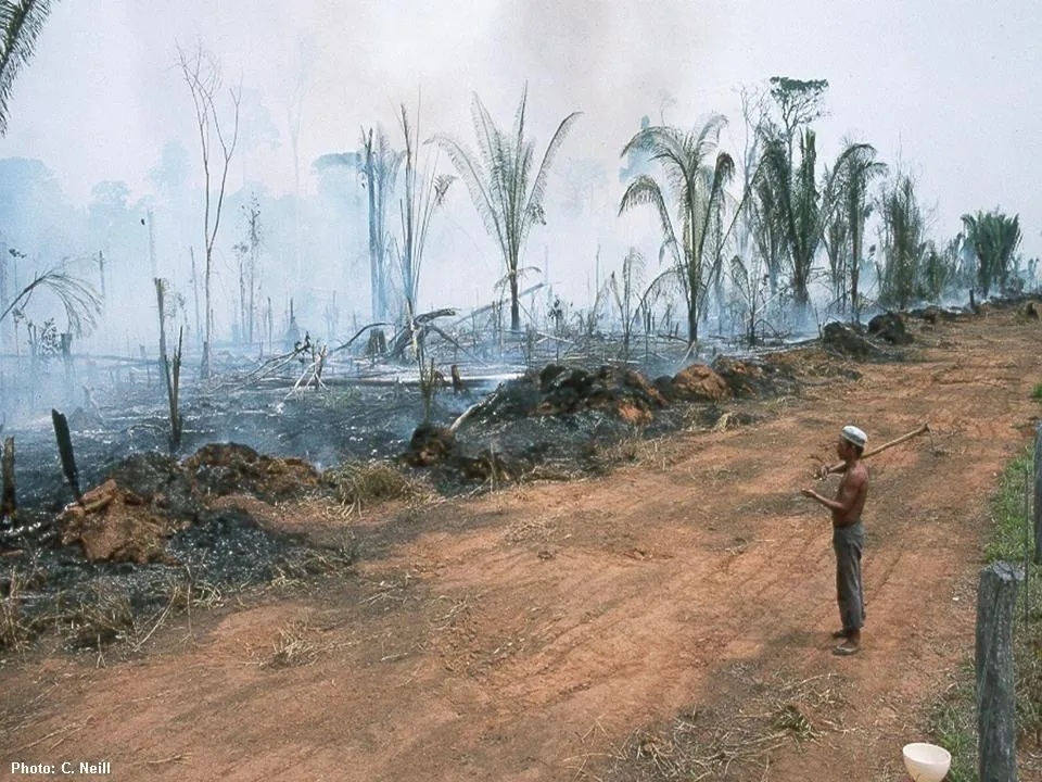 A rain forest landscape scarred by deforestation. Credit Chris Neill