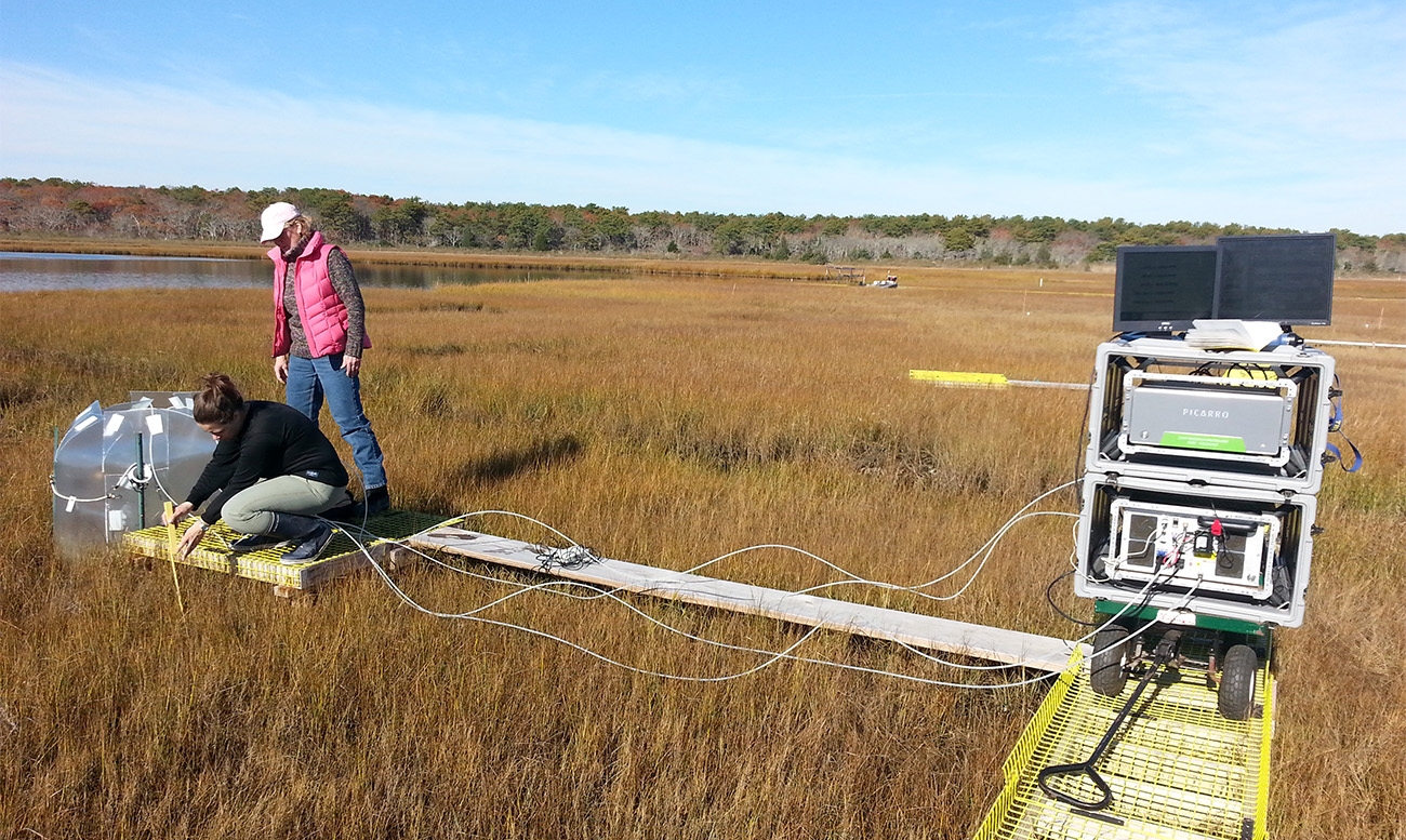 Monitoring carbon flux at Sage Lot Pond reference marsh in Mashpee MA