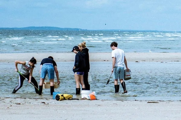Students doing research on the beach