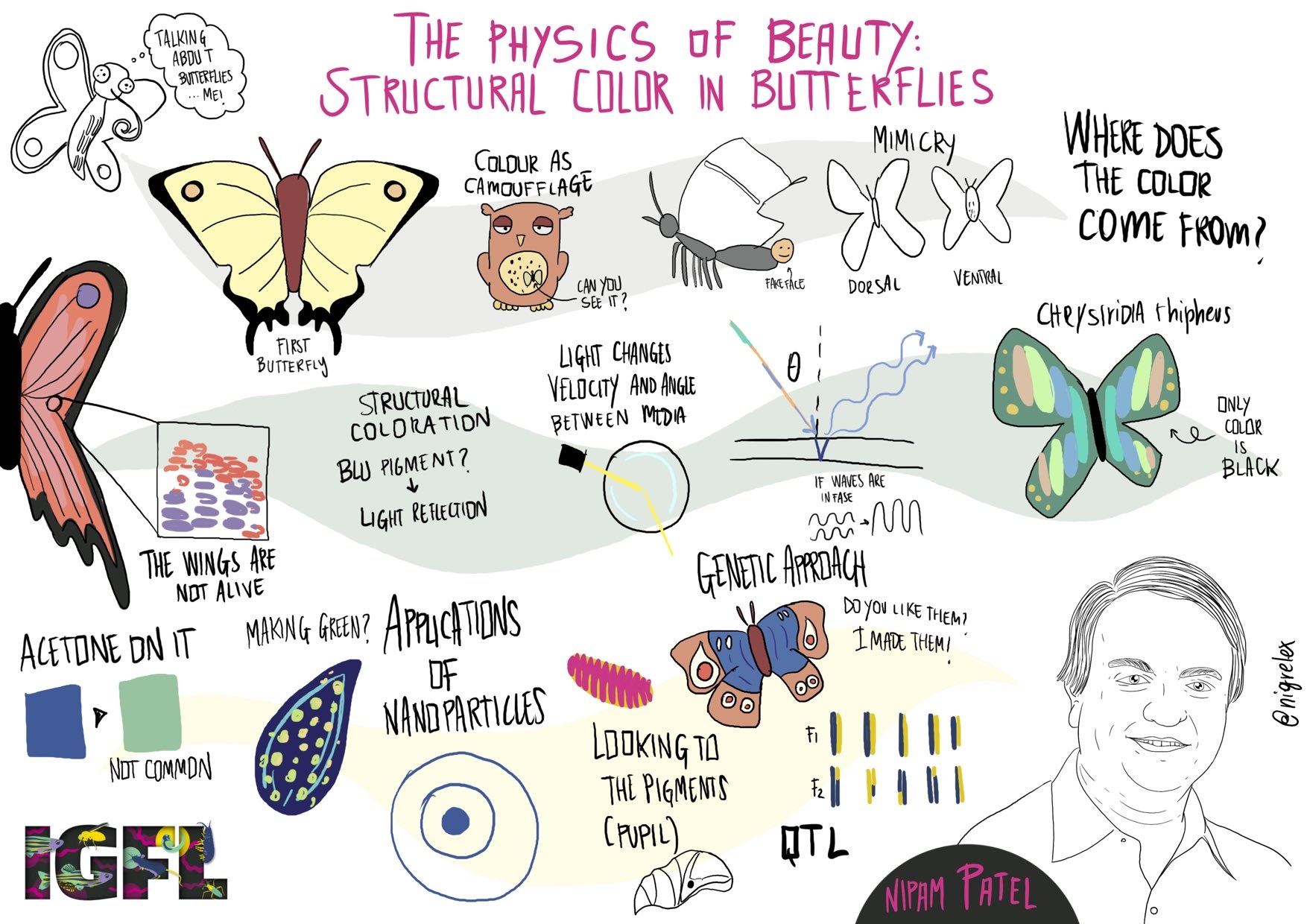 A cartoon of Nipam Patel's talk at #IGFLSymposium in Lyon, France by Eleonora Nigro. Talk titled "The Physics of Beauty: Structural Color in Butterflies"