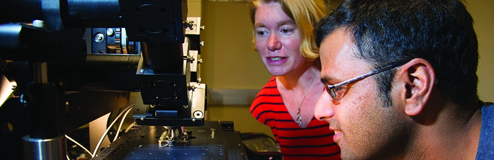 Amy Gladfelter and Hari Shroff peer into a microscope