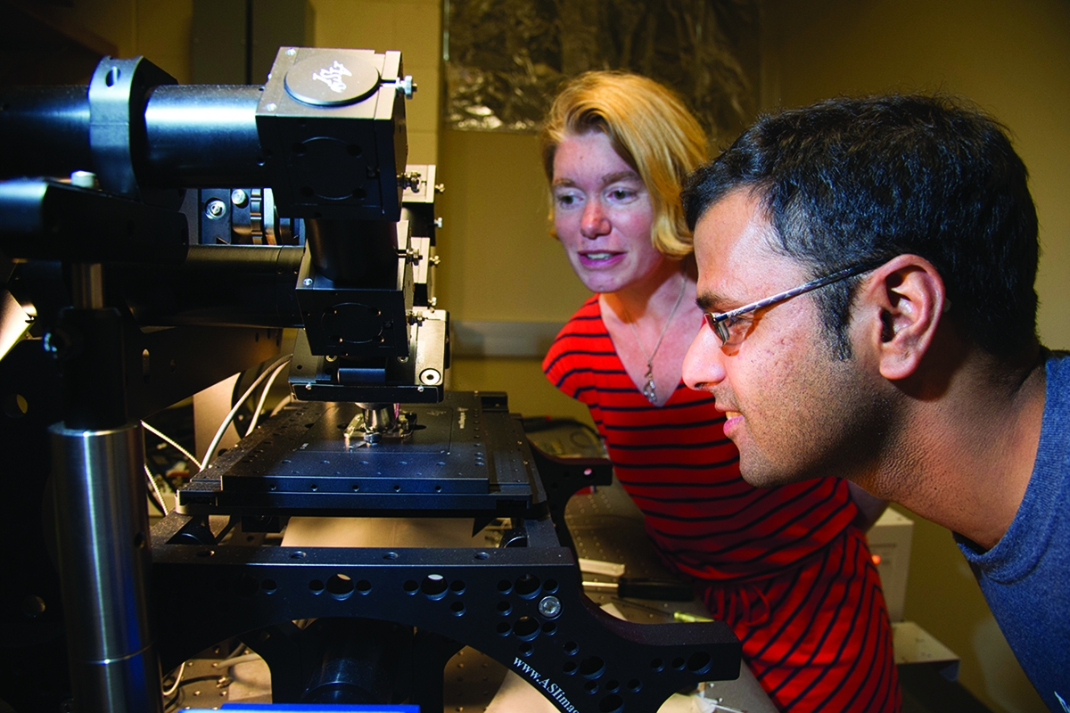Amy Gladfelter and Hari Shroff peer into a microscope. 