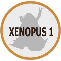 Xenopus 1 logo