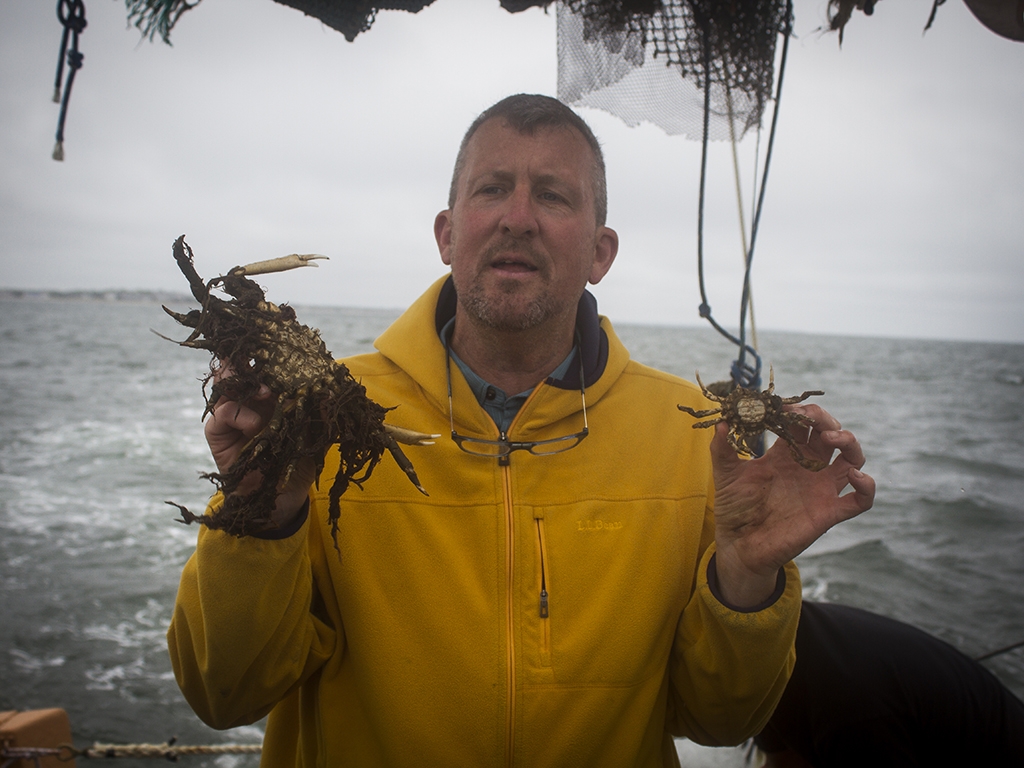 David Remsen describing local crabs that came up in the Gemma's collecting net.