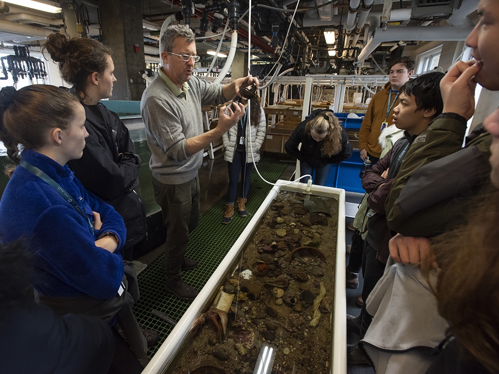 David Remsen gives a Marine Resources Center tour to high school students in 2018.