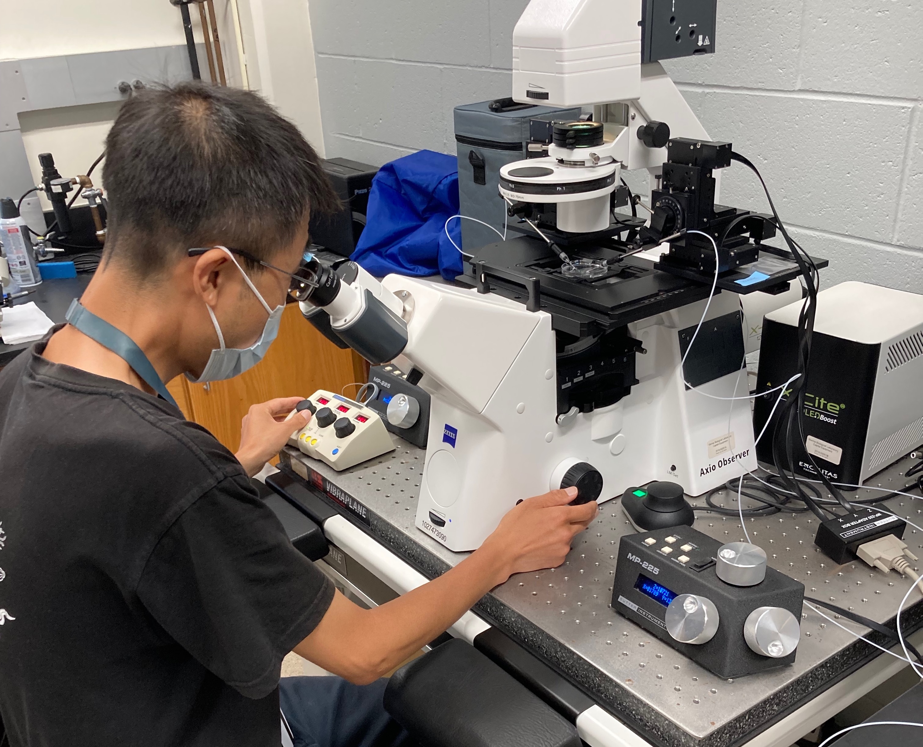 Postdoctoral scientist Hiayang Feng at the MBL’s gene editing facility.  Dr. Feng developed a method to inject rotifers with CRISPR components that was critical to the success of the project. Credit: David Mark Welch