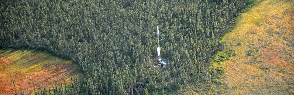 Data on water loss from peatlands to the atmosphere was collected by eddy covariance flux towers in 95 locations in the global boreal biome. This flux tower is located in the Scotty Creek watershed in the Northwest Territories, Canada. Credit: Manuel Helb