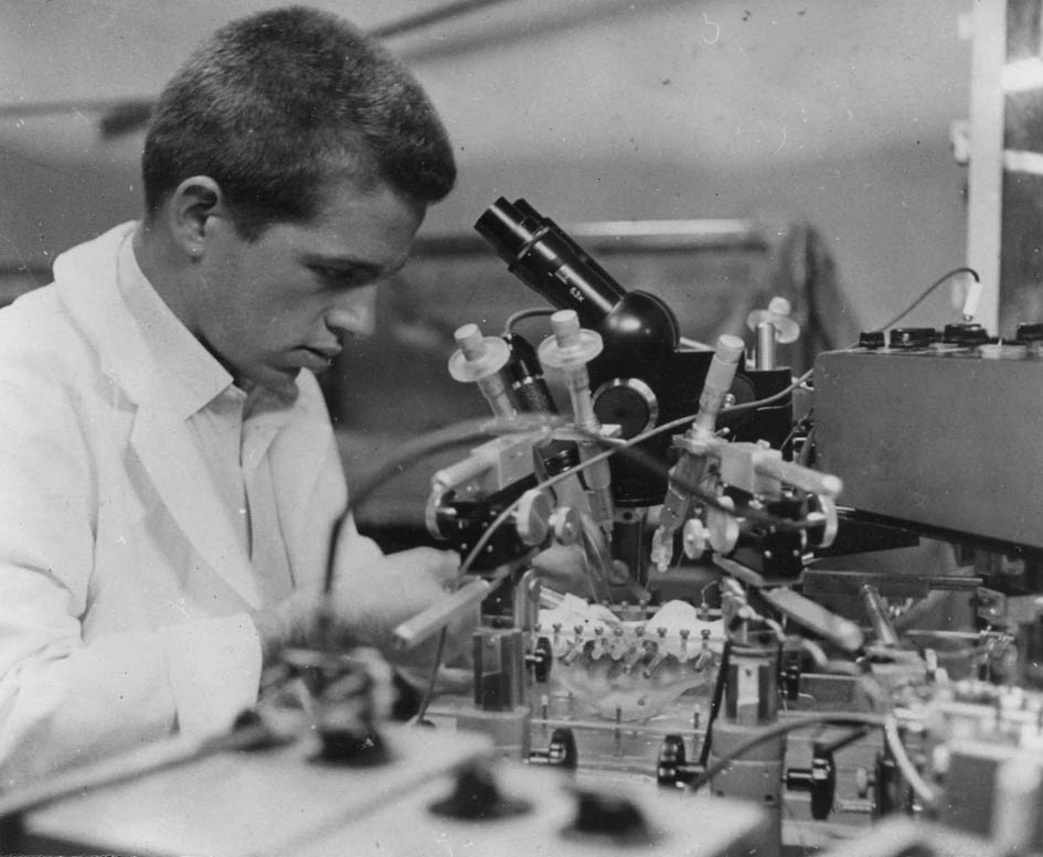Michael VL Bennett at microscope 