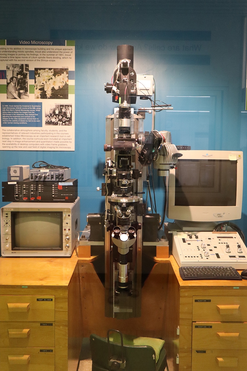 The “Seeing Life” exhibit includes an early version of the Shinyascope, designed and built by MBL Distinguished Scientist Shinya Inoué, a pioneer of live-cell and video microscopy in the mid- to late 20th century.