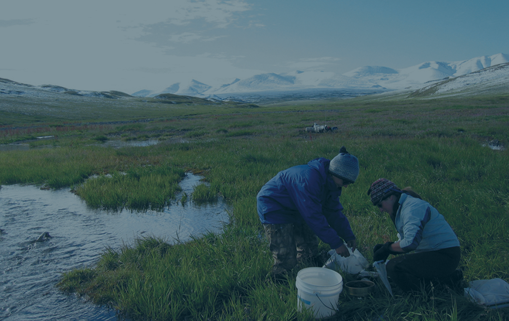 Researchers next to a stream in Alaska with mountains in background