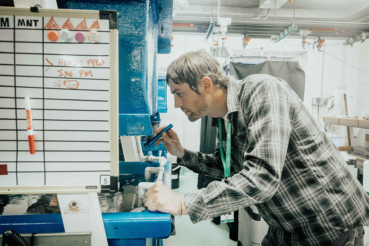 Bret Grasse in the Cephalopod Mariculture Facility at the MBL. 