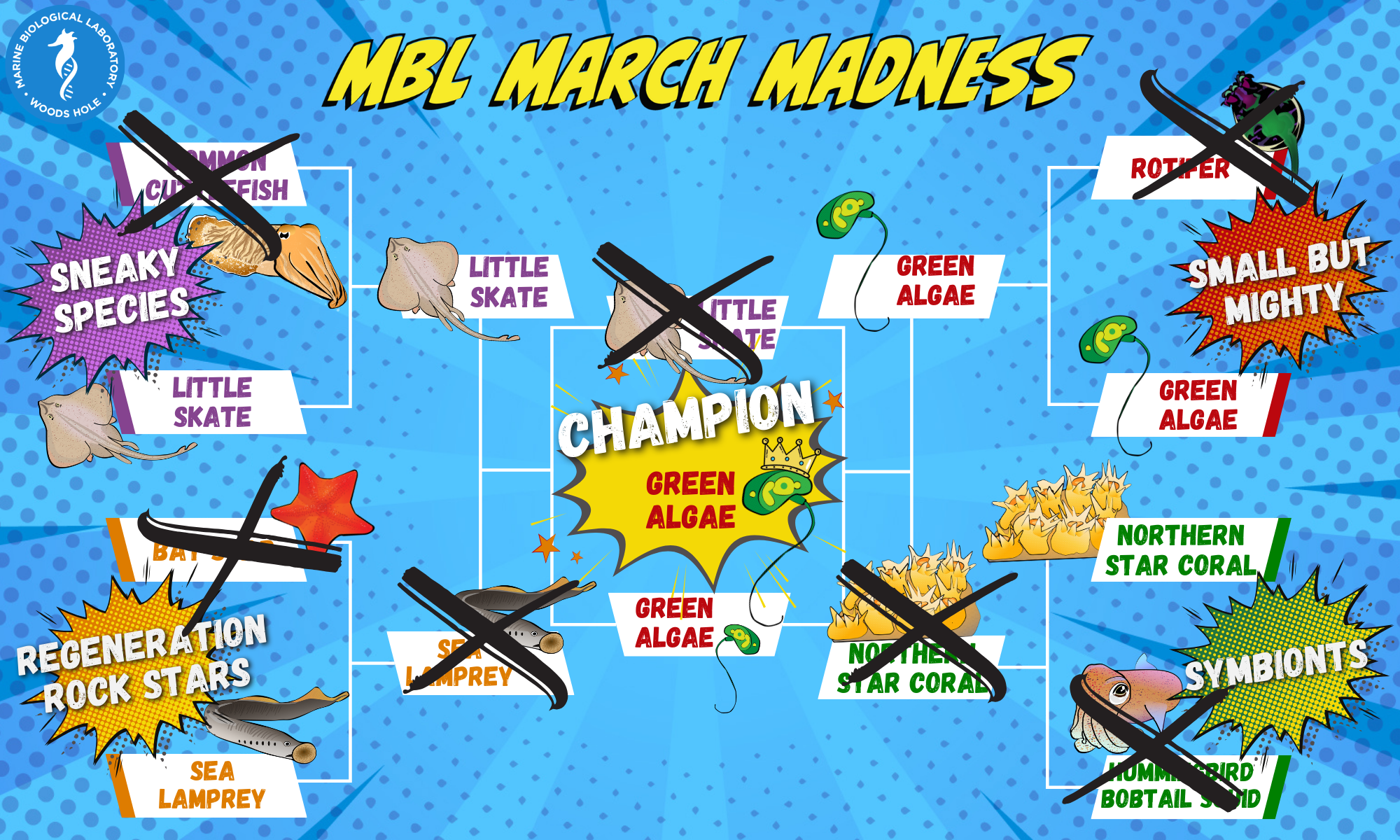 MBL March Madness Final vote. Green Algae is the 2024 champion