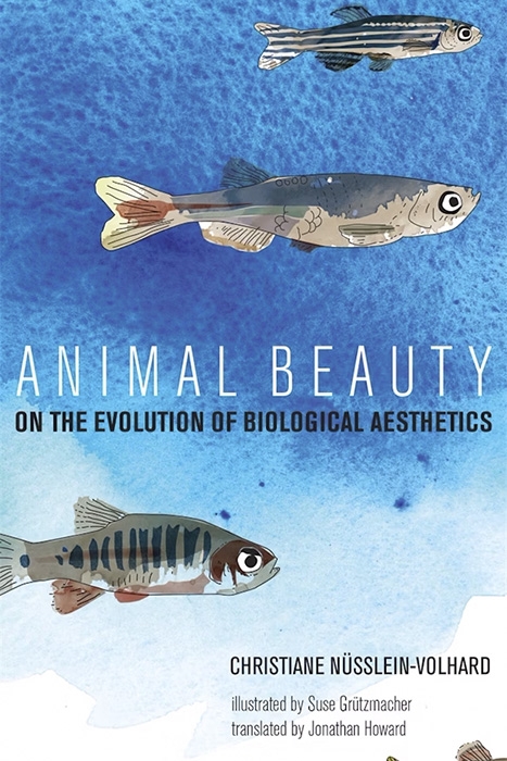 Animal Beauty book cover