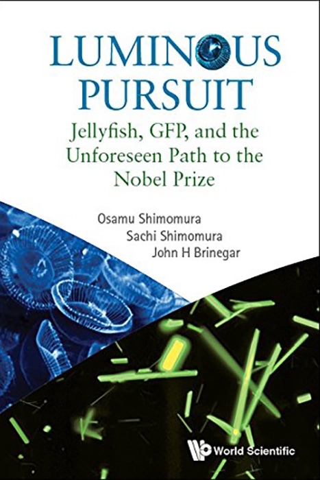 Luminous Pursuit book cover