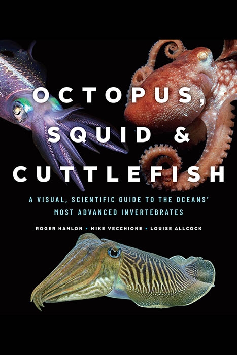 Octopus, Squid and Cuttlefish book cover