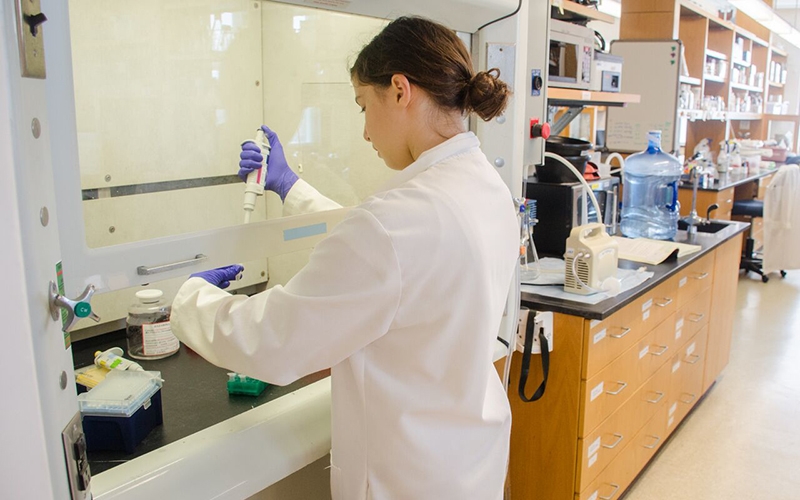 Woman standing at safety cabinet in lab.