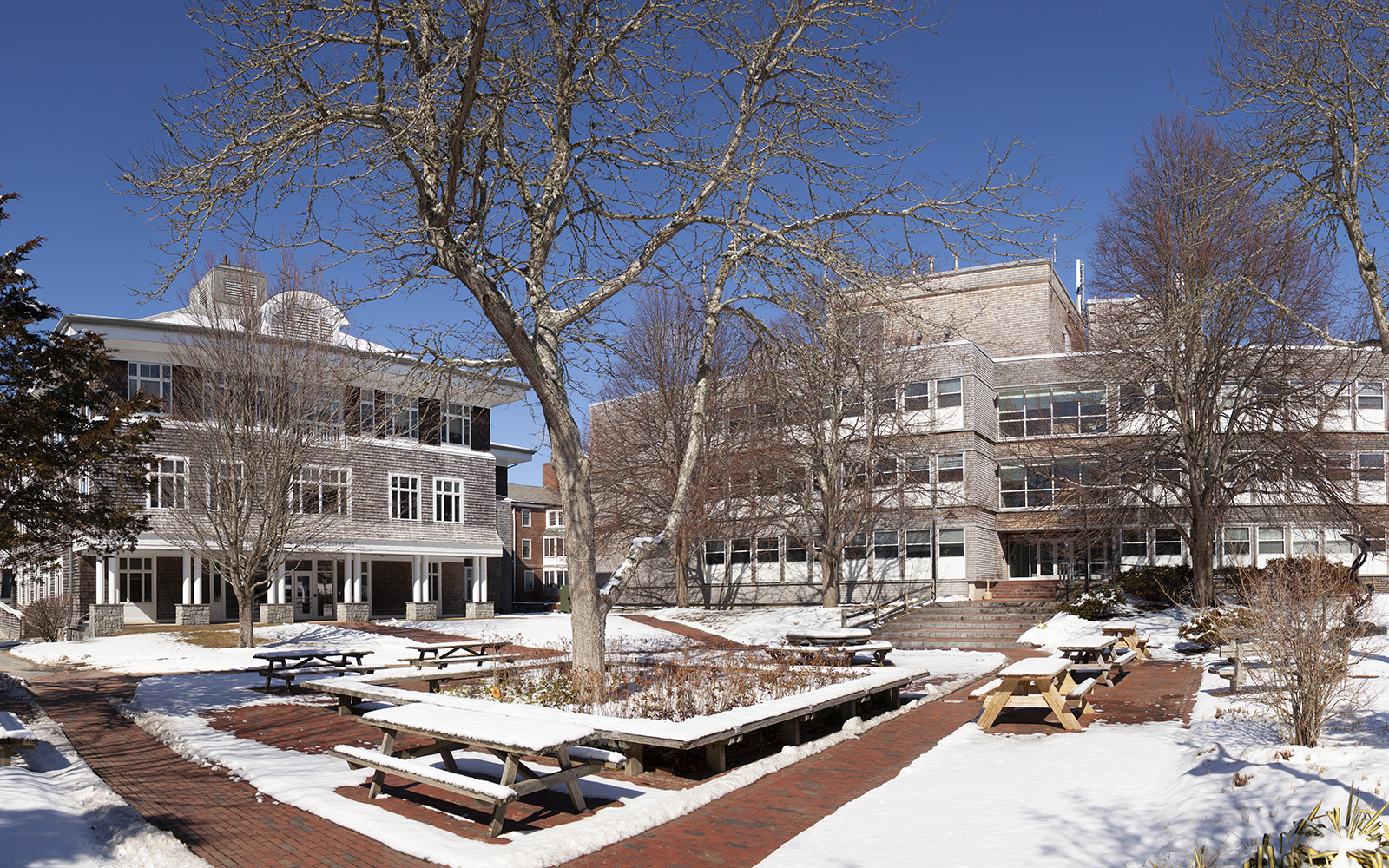 MBL's Quad in the snow.