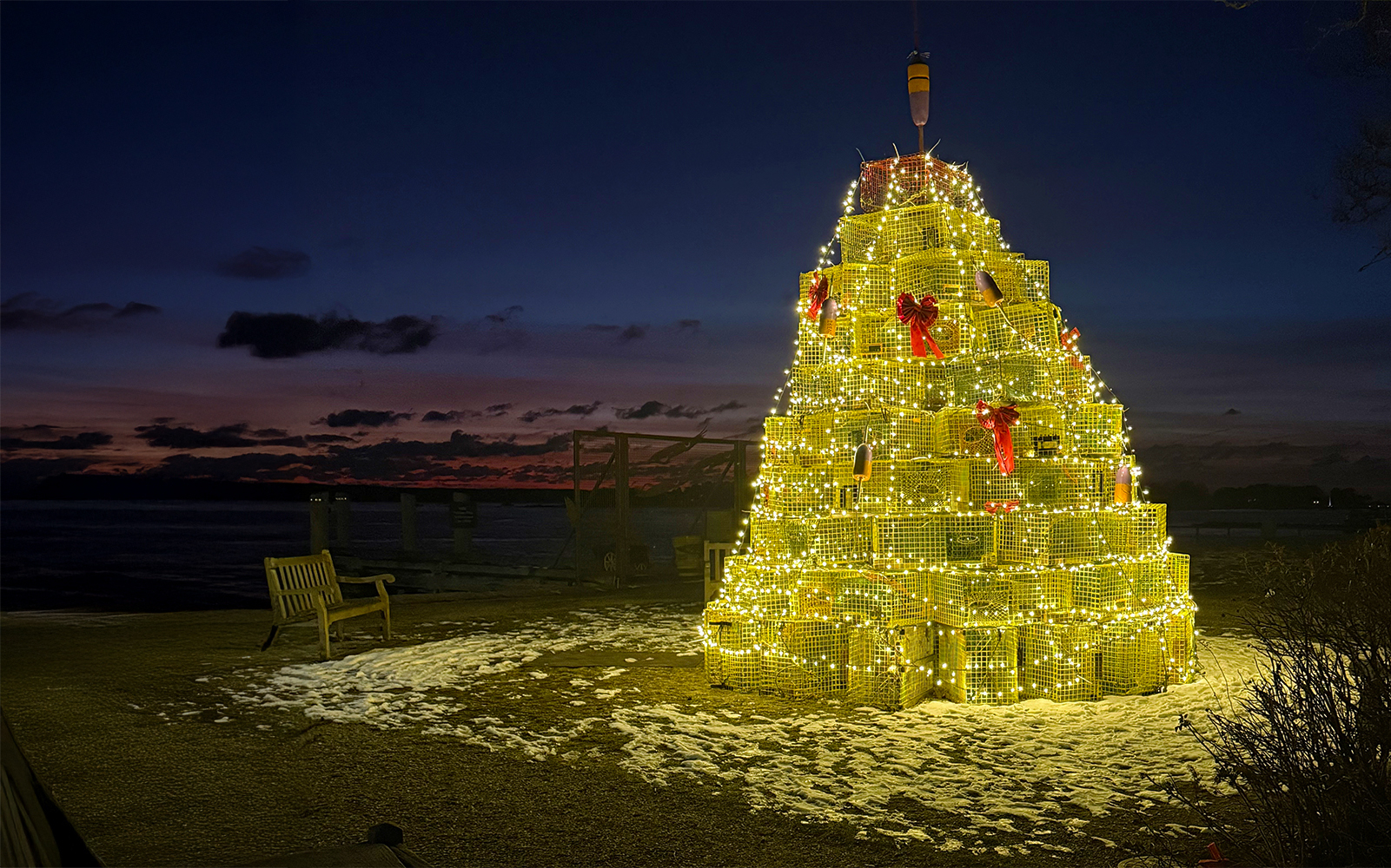 Lobster pot tree lit up in Waterfront Park.