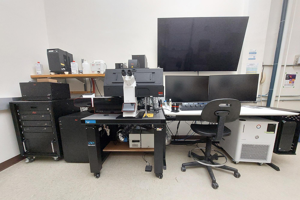 Leica Stellaris 8 STED