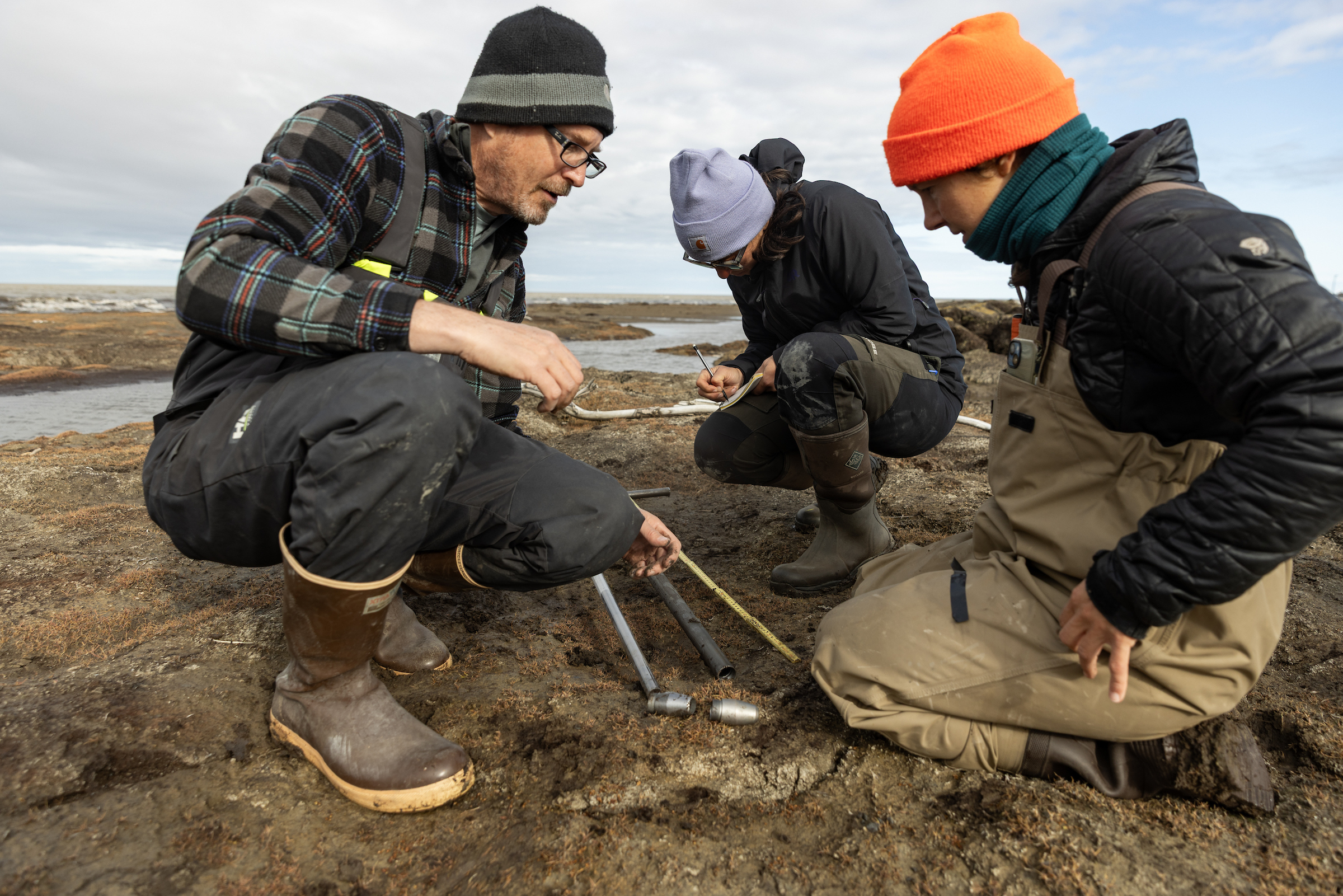 Three scientists kneel down to do field work in Alaska.