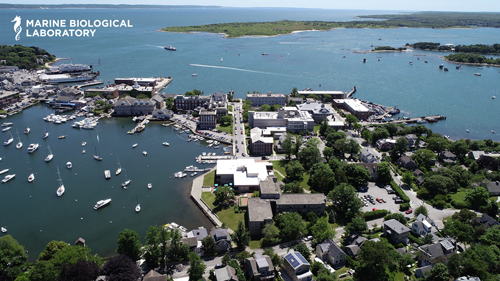  MBL Campus from drone