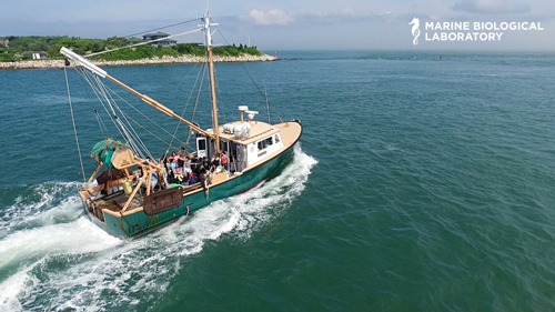 Gemma boat from drone