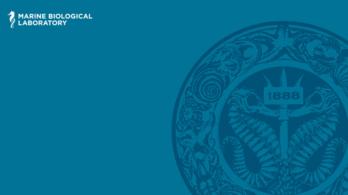 MBL Legacy logo on blue background