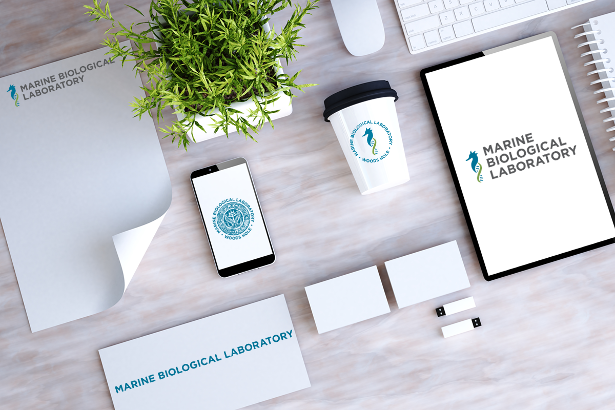 Desk with papers, cards, phone, cup and table with MBL Logo.