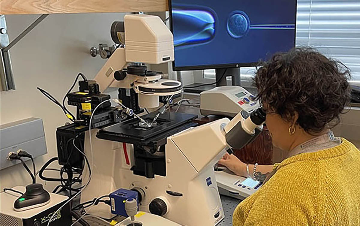 A scientist in a yellow sweater is seated at a microscope.
